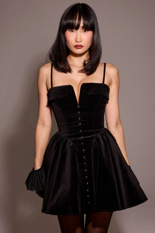 Selina Velvet Tulle Mini Dress